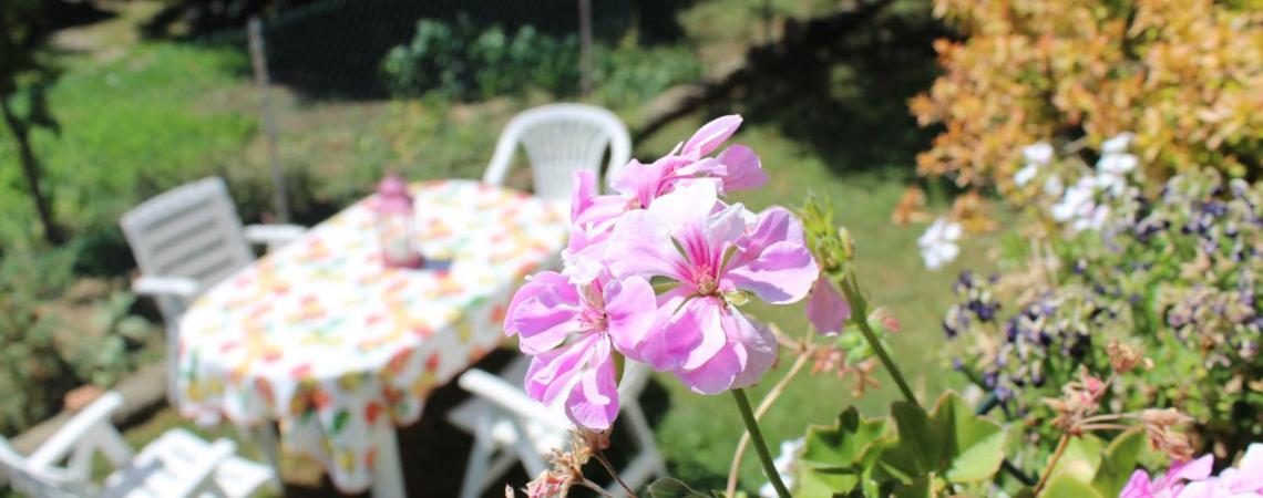 B&B Via Roma Cesate Dış mekan fotoğraf